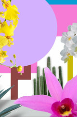 Colorful floral collage featuring orchids and other flowers for NYBG x Flower Tea Tasting Experience.