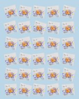 Bulk 30 Pack Flower Teas displayed in individual packets with vibrant flower designs.
