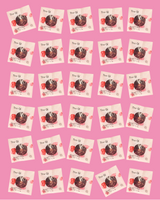 Bulk 30 Pack Flower Teas in individual packets arranged on a pink background for easy access and freshness.