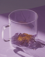 Blue Lotus Flower Tea in a clear glass cup, showcasing its earthy and floral infusion.