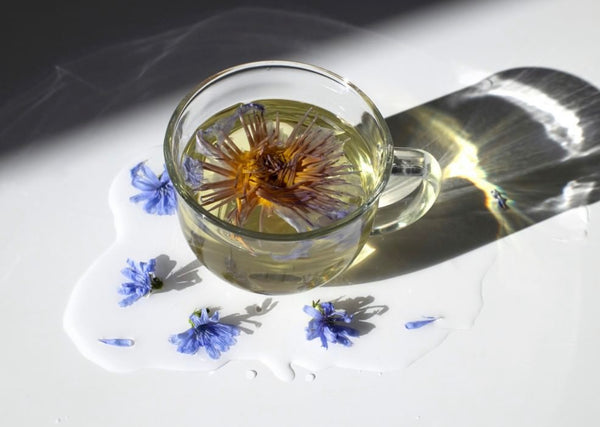 Blue Lotus Flower Tea In Glass Mug