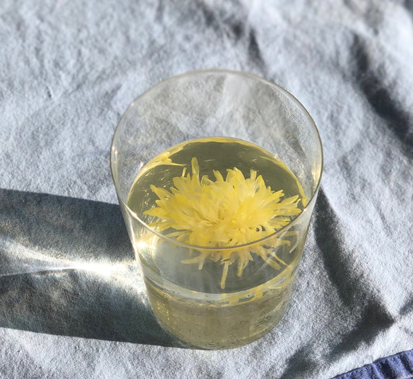 the qi chrysanthemum tea