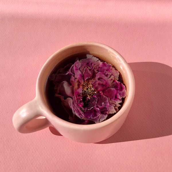 Top 13 Benefits of Drinking Rose Tea with a dried rose flower in a pale pink mug.