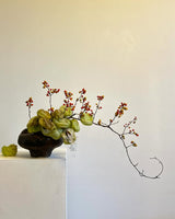 Ikebana Workshop with Ayako Shida