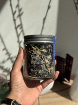 Holiday Essentials set