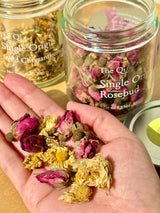 Holiday Essentials set